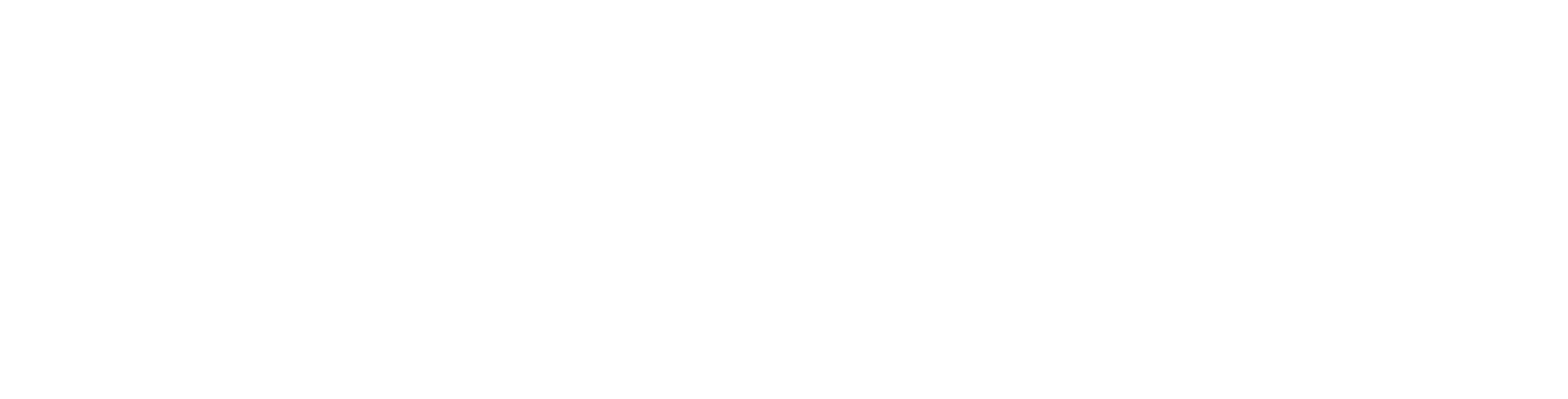 monasch logo